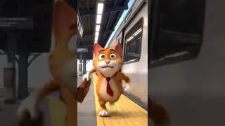 Mischievous Cat Rides Bikes & Bags #CommuterCats #FunnyCats #PlayfulCats