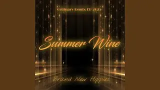 Summer Wine (Video Playlist Remix 2025)
