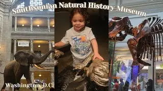 Sunday Morning Coffee ☕ | Smithsonian Natural History Museum