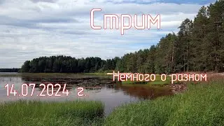 Немного о разном. Обсуждение ZV-10II, костыли в трансляции, выбор камеры. Стрим 14.07.2024 г