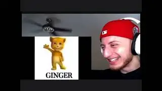 Wubzzy Perfectly Cut Screams (revamped)
