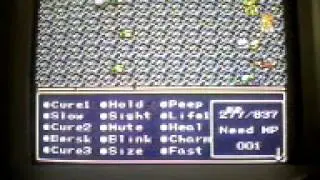 Final Fantasy II (SNES)- Rare item drops