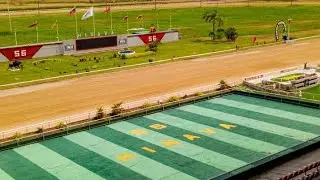 Javier Flores con su información para este Sábado en el Hipódromo Nacional de Valencia.