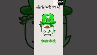 What duck?