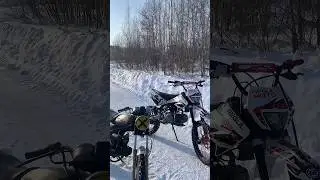 🔥🔥🔥 #regulmoto #питбайк #альфа  #покатушки #мотокросс #поле #лес #рекомендации