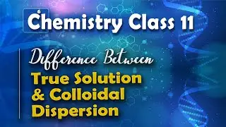 Difference Between True Solution and Colloidal Dispersion - Surface Chemistry - Chemistry Class 11