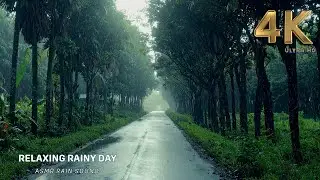 Countryside Rain Serenity: Soft Footsteps & Nature ASMR | Green Escape: For deep sleep and Meditaton
