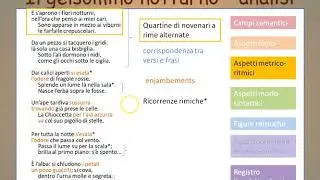 Il gelsomino notturno - analisi del testo (2)