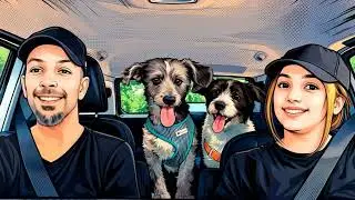 Road Trip and Us