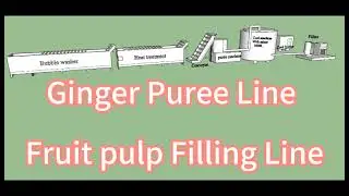 turmeric puree ginger puree line Fruit pulping filling line fruit pulper
