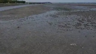 Time Lapse of Tidal Flat