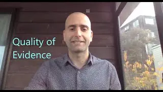 Quality of evidence assessment for HandyEvidence!