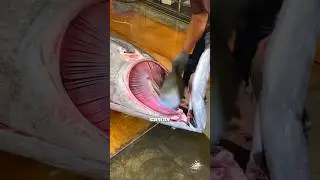 $150 000 за год в Антарктиде