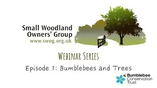 SWOG Bumblebees and Trees Webinar