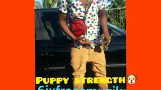 6ixfrass - Puppy strength (Official audio)Double trouble Riddim