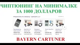 Чиптюнинг на минималке за 1000 долларов