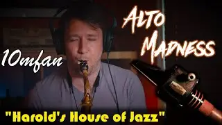 The Brand New 10mfan ALTO MADNESS Mouthpiece! 