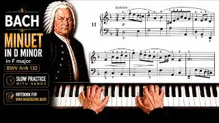 Bach - Minuet in D minor BWV Anh 132 | + Slow Tempo