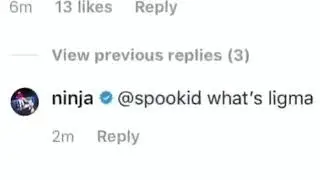 Ninja Ligma we got him meme