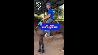 Quick Tip #2 To Become A Confident Rider! | The Horse Guru-Michael Gascon