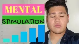 MENTAL STIMULATION (BEING BETTER)