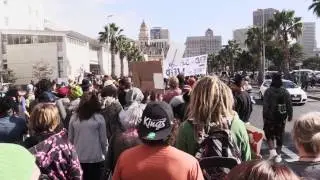 Thousands march in CT for the decriminalisation of marijuana
