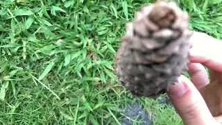 Outdoors ASMR! (Whispering, rubbing items on camera, crinkling)