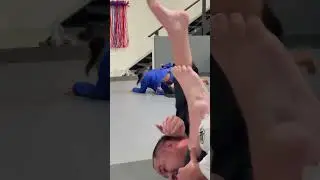Nat&rsquo;s BJJ progress update (twice a week @ 3rd month)