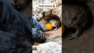 Kumpulan video random warga plus 62 bikin ngakak @bangdul92 