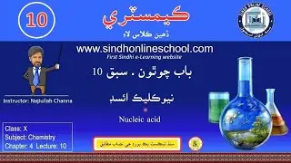 Nucleic Acid | Chemistry Class 10 | Chapter 4 | Lecture 10 | Sindh Online School