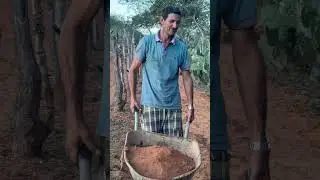 Ser&aacute; que presta