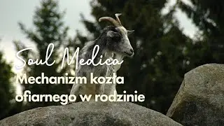 Mechanizm kozła ofiarnego w rodzinie