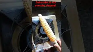 ভুট্টা পোড়া | corn | The Flavory Food