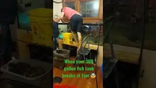 Our 300 gallon fish tank cracked at 1am!! #fishtank #fishtankcracked #flood
