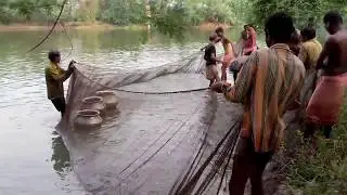 Big Net Fishing in Village Pond ; West Bengal