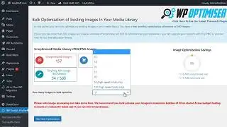 WP Profiler Tutorial Video