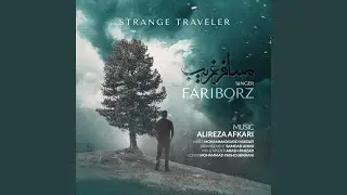 Strange Traveler