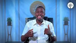 PRESERVING THE DEAD FISHES - HOW EVIL SPREADS EVIL | O'TOMISIN AJILEYE