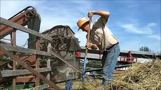 THRESHING WITH STEAM ENGINE TRACTORS AT THE 2025 CENTRAL STATES THRESHERMEN'S REUNION