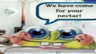 We have come for your nectar!