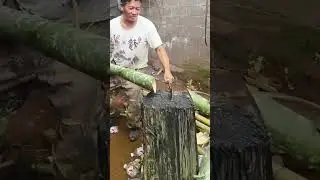 It's so easy to cut bamboo with a sharp machete