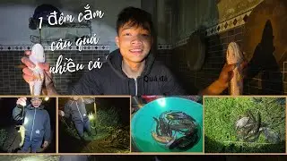 Cắm Câu Đêm - 1 Đêm Câu Được Nhiều Cá Giữa Thời Tiết Lạnh