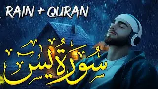 Surah Yaseen with Rain Sound | Peaceful & Healing Quran Recitation