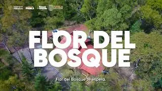 VIVE LA MAGIA DE FLOR DEL BOSQUE | CABA&Ntilde;AS DESDE $400 LA NOCHE EN PUEBLA