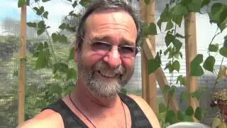 Hydroponic Greenhouse Project, New Dutch Bucket System Build