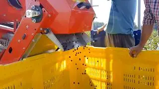 chokeberry Aronia harvester - ARONIC berry harvester