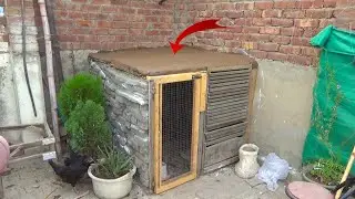 Murgiyon Ka Ghar Bana Lya | Cage Roof Covering With Clay Mud | How Do I Cool Down My Chicken Coop