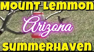 Mount Lemmon, Summerhaven Arizona. Ski lift and drive through the mountains. Green grass, tall trees