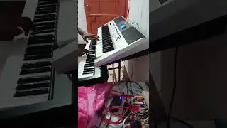 xpa10 vs yamaha I455