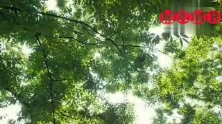 one day Korean movie explained in hindi